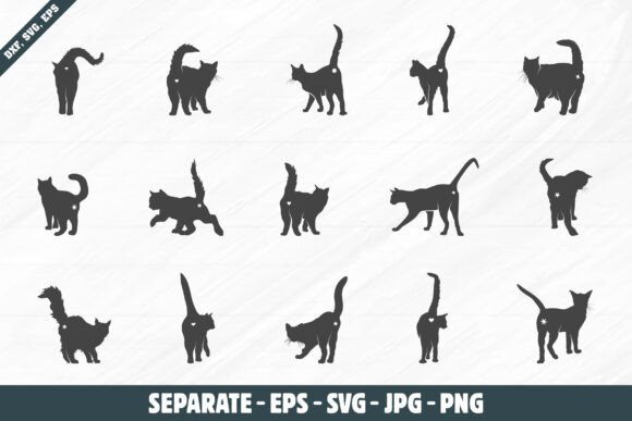 Funny Cat Butt SVG: A Designer’s Honest Review for Real Embroidery Projects